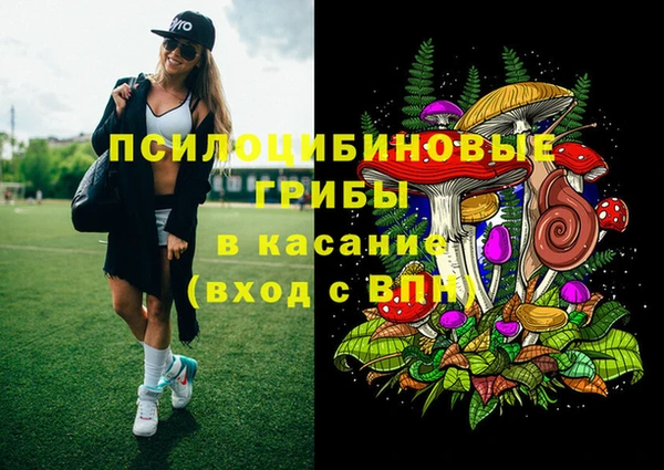 мдпв Михайлов