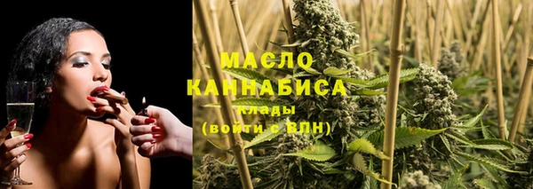 мдпв Михайлов