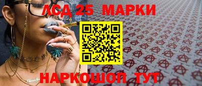 mdpv Гатчина