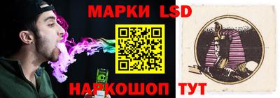 mdpv Гатчина