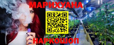 mdpv Гатчина