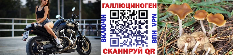 Галлюциногенные грибы ЛСД Родники