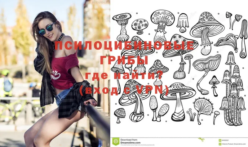 hydra ссылки  Родники  Псилоцибиновые грибы MAGIC MUSHROOMS  даркнет сайт 