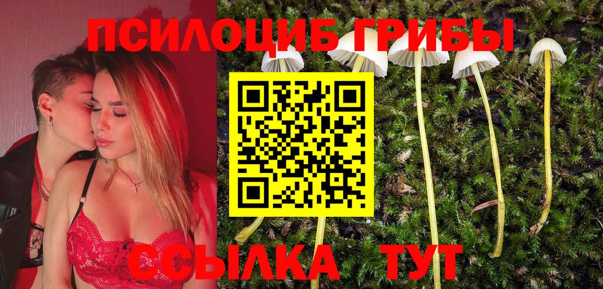 Родники  Псилоцибиновые грибы мицелий  Вход с VPN 