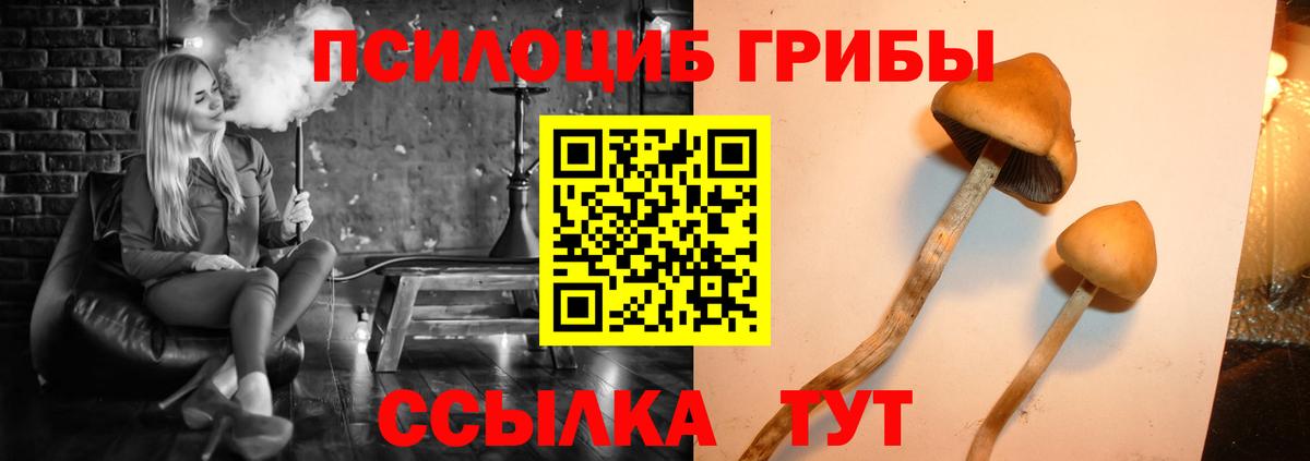 Галлюциногенные грибы Psilocybine cubensis Родники